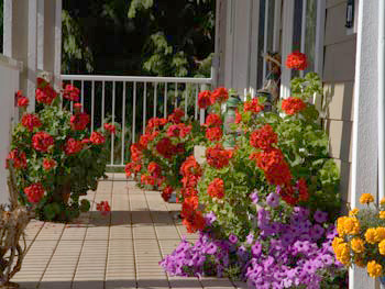 Spectacular Gardens at Absolute Heaven Oceanfront Suites 